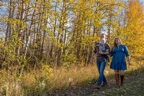 velashape spruce grove|VelaShape® .
